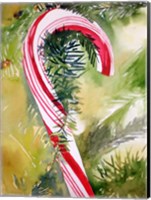 Framed Candy Cane