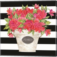 Framed 'Fuchsia Flores Stripes' border=