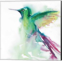 Framed Hummingbirds III