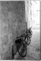 Framed Bicycles in the Alley
