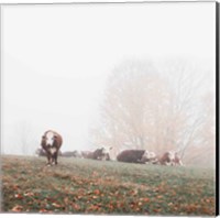 Framed Misty Pasture