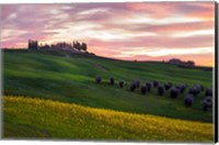 Framed Tuscany Palette