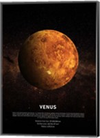 Framed Venus