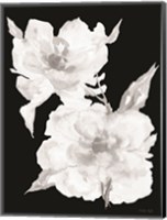 Framed Black & White Flowers II