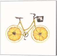 Framed Lemon Bike