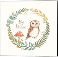 Framed 'Be Wise Owl' border=