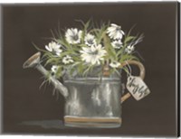 Framed Watering Can Daisy