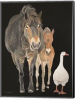 Framed Farmyard Trio