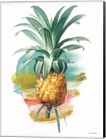 Framed Pineapple I