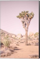 Framed Joshua Tree III Blush