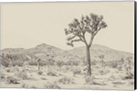 Framed Joshua Tree I Neutral