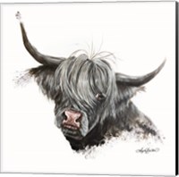 Framed Bashful Cow
