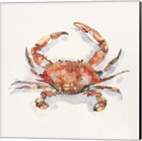 Framed Crusty Crab I