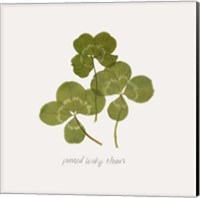 Framed 'Pressed Clover II' border=