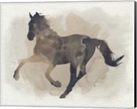 Framed Galloping II