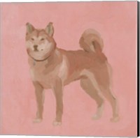 Framed Shiba Inu II