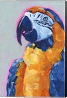 Framed Pop Art Parrot I