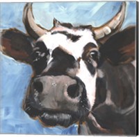 Framed Cattle Close-up II