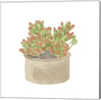 Framed 'Simple Succulent I' border=