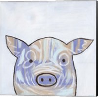 Framed Paint Splotch Pig