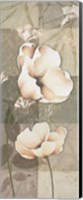 Framed Soft Spa Floral II