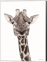 Framed Safari Giraffe Peek-a-boo