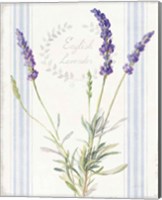 Framed Floursack Lavender IV