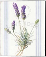 Framed Floursack Lavender III