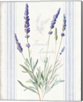 Framed Floursack Lavender I