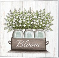 Framed 'Bloom' border=