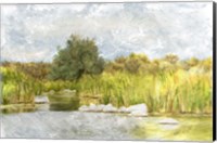 Framed Marshy Wetlands No. 1