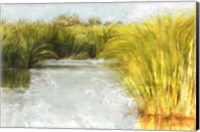 Framed Marshy Wetlands No. 2