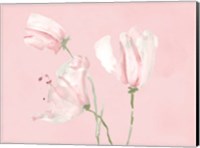 Framed Pink Floral Dreams I