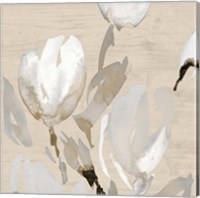 Framed 'Neutral Tulips I' border=