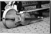 Framed Cello