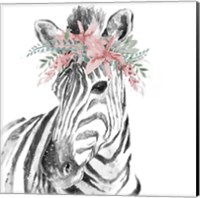 Framed 'Water Zebra with Floral Crown Square' border=