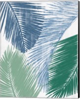 Framed 'Baru Palm Collage II' border=