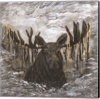 Framed Moose in the Mist