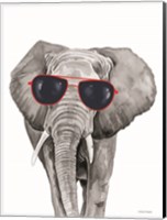 Framed Looking Cool Elephant