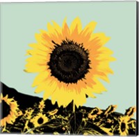 Framed Pop Art Sunflower I