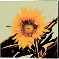 Framed Pop Art Sunflower II