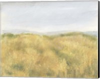 Framed Wheat Fields II