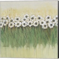 Framed 'Rows of Flowers II' border=