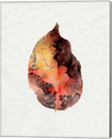 Framed Watercolor Autumn Leaf I