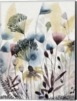 Framed Watercolor Wildflower I