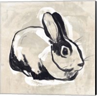 Framed 'Antique Rabbit I' border=