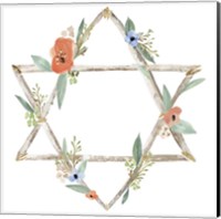 Framed 'Adorned Star I' border=