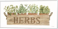 Framed Crate of Herbs