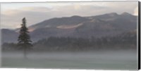 Framed Adirondack Misty Morning