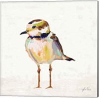 Framed 'Coastal Plover II Linen' border=